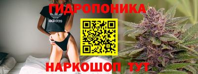 индика Малгобек