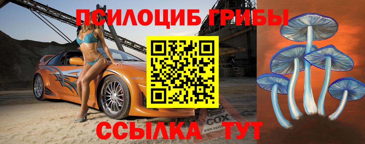 Галлюциногенные грибы Cubensis Верхний Уфалей