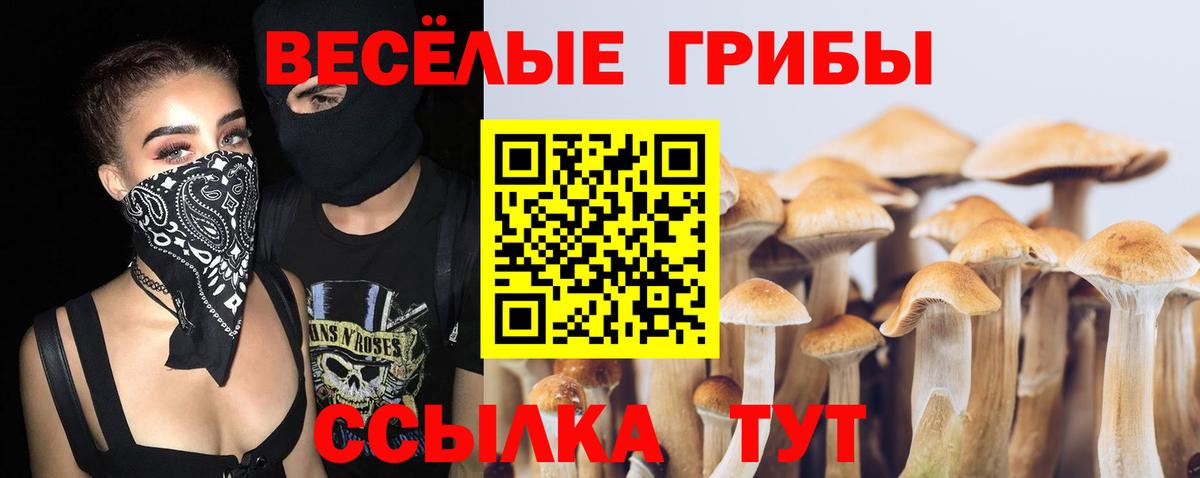 Псилоцибиновые грибы Psilocybine cubensis  Галлюциногенные грибы ЛСД  Верхний Уфалей  Вход с VPN 